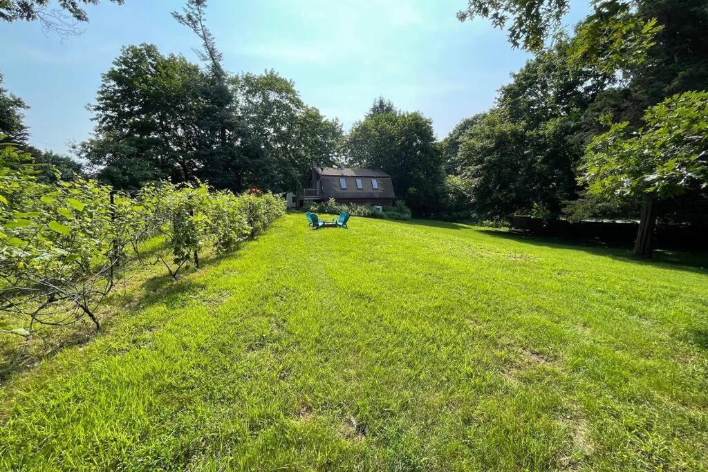 Newly Renovated Carriage House Near Town & Beaches Madison Eksteriør billede